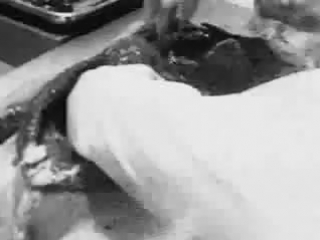 alien autopsy (1947)